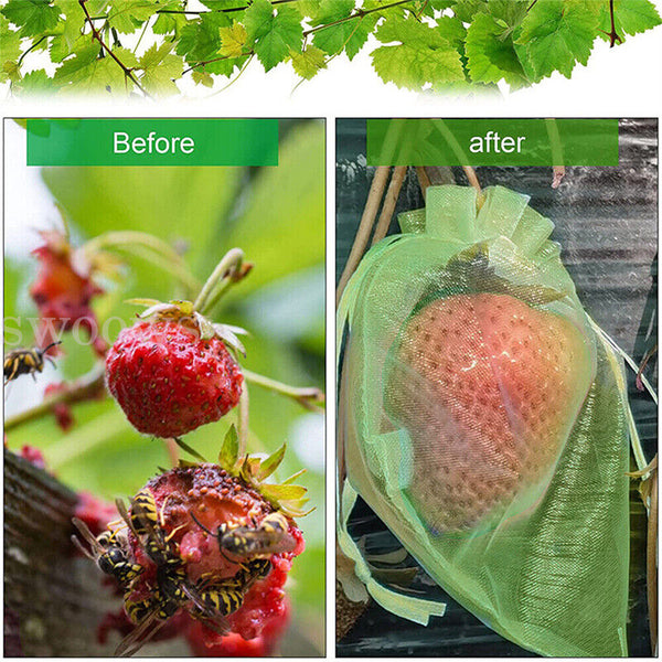 50/100x Fruit Net Bags Agriculture Garden Vegetable Protection Mesh Insect Proof