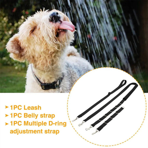 3Pcs Dog Grooming Harness Strap Pet Noose Adjustable Lead Safety Belt