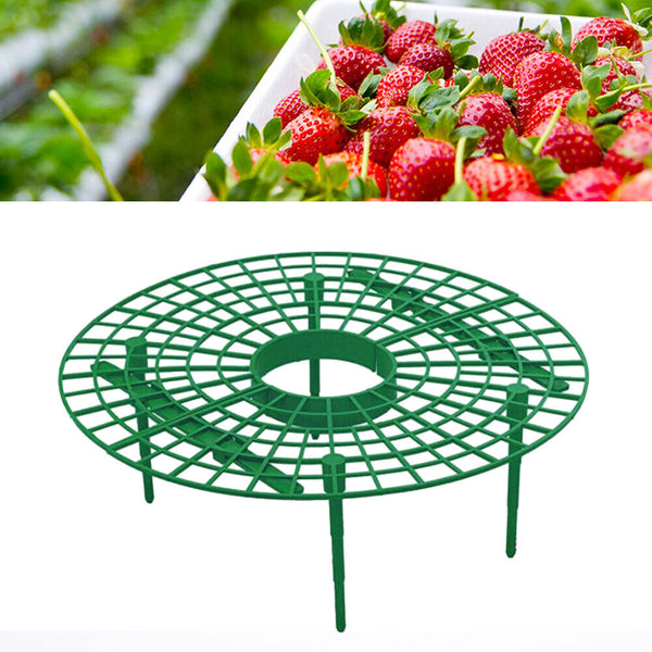 1-50PCS Strawberry Stand Frame Holder Balcony Planting Rack Fruit Support Stand