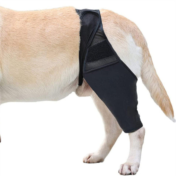 S/M/XL Pet Dog Knee Support Brace Hock Protector Front Rear Leg Compression Wrap