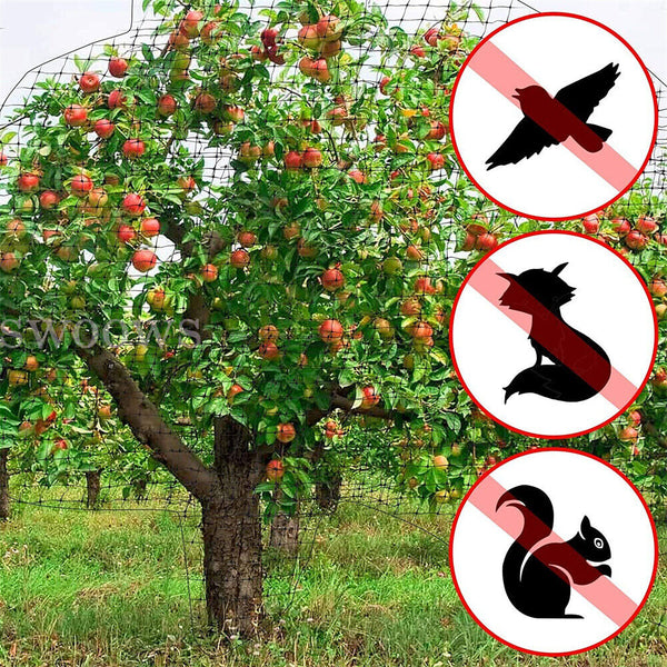 Bird Netting Net Anti Pest Commercial Fruit Trees Plant 10m/20m/30m Mesh Black