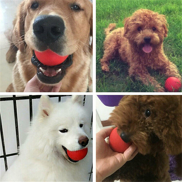 Solid Training Toy Rubber Ball Pet Puppy Dog Chew Play Fetch Bite Bouncy TPRBall