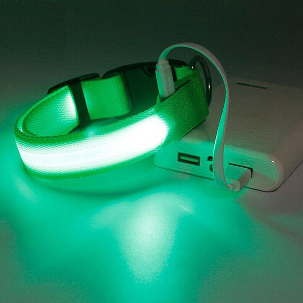 LED Night Safety Dog Collar Nylon Pet Puppy Glow Flashing Light Leash Set USB AU