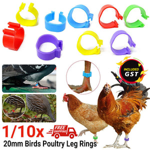 Up 20x Birds Poultry Leg Rings Identification Bands 20mm Chicken Tags Clip Ring