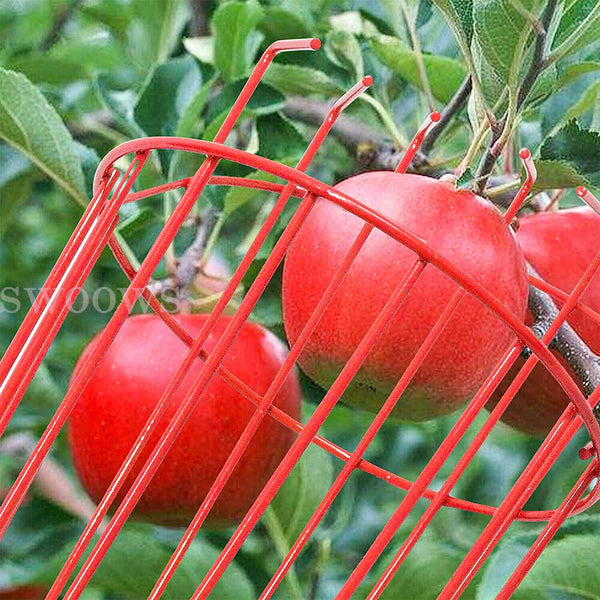 Up 2x Fruit Picker Basket Extension Pole Tools for Picking Fresh Orange Apple AU