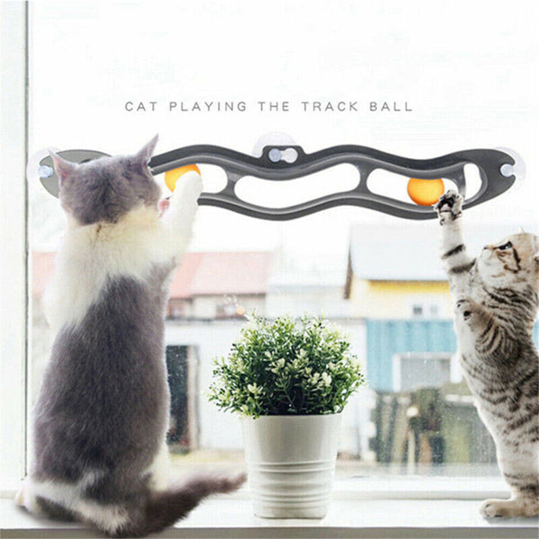 Interactive Track Ball Window Suction Cup Track Bal Funny Cat Toys Pet Toy NEW