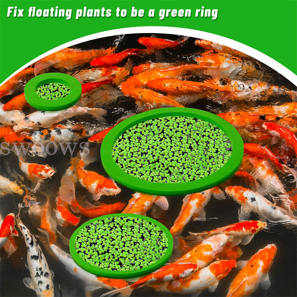 5/10 x 80-200mm Fish Feeding Rings Aquarium Tank Station Floating Food Feeder