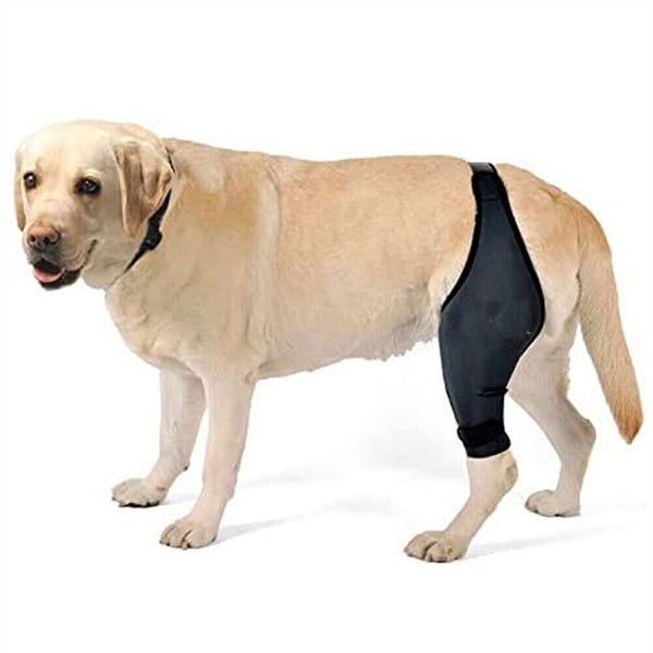 S/M/XL Pet Dog Knee Support Brace Hock Protector Front Rear Leg Compression Wrap