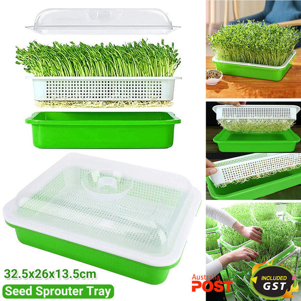 Seed Sprouter Tray with Lid BPA Free Bean Sprout Grower Sprouting Seeds Tray AU