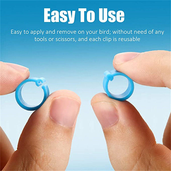 Up 20x Birds Poultry Leg Rings Identification Bands 20mm Chicken Tags Clip Ring