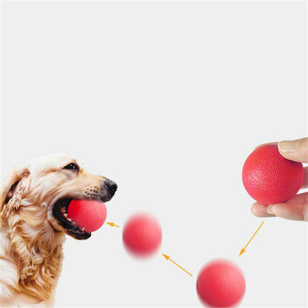 Solid Training Toy Rubber Ball Pet Puppy Dog Chew Play Fetch Bite Bouncy TPRBall