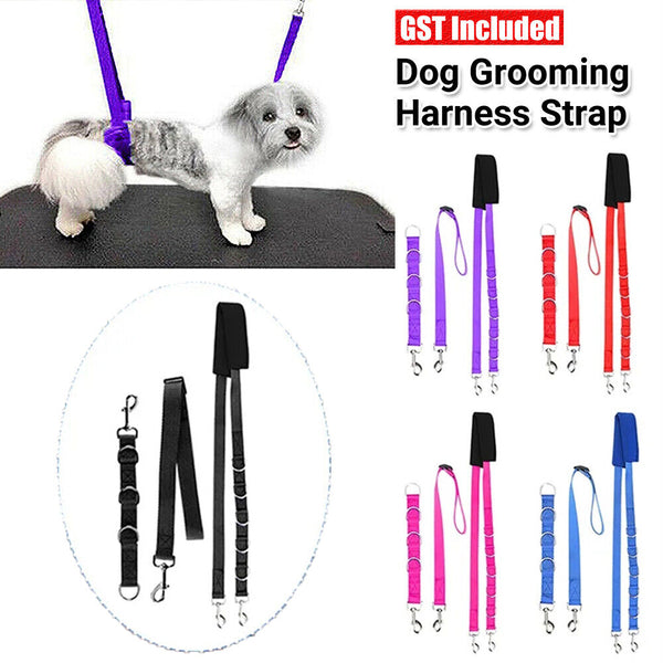 3Pcs Dog Grooming Harness Strap Pet Noose Adjustable Lead Safety Belt