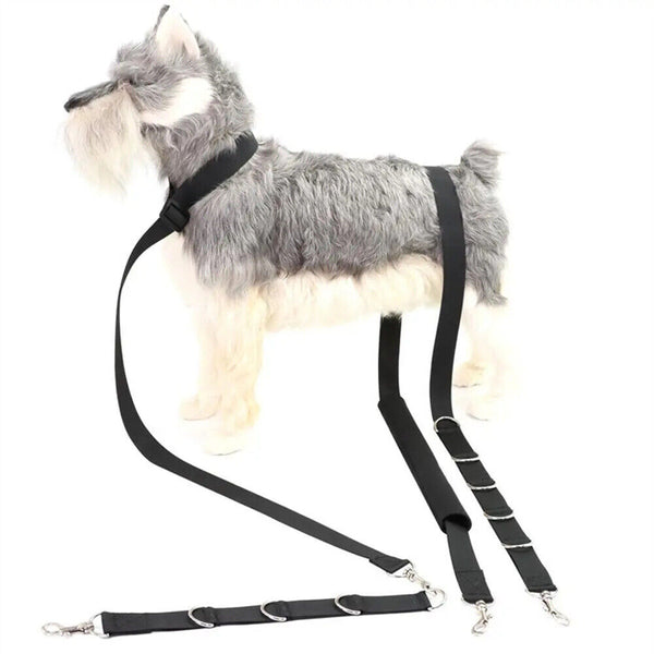 3Pcs Dog Grooming Harness Strap Pet Noose Adjustable Lead Safety Belt