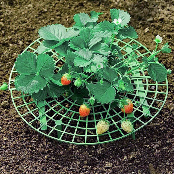 1-50PCS Strawberry Stand Frame Holder Balcony Planting Rack Fruit Support Stand