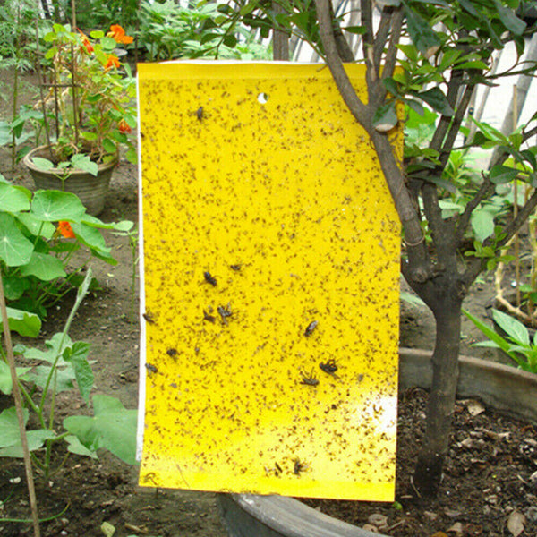 Up 100x Yellow Sticky Glue paper Insect Trap Catcher Killer Fly Aphids Wasp Lot