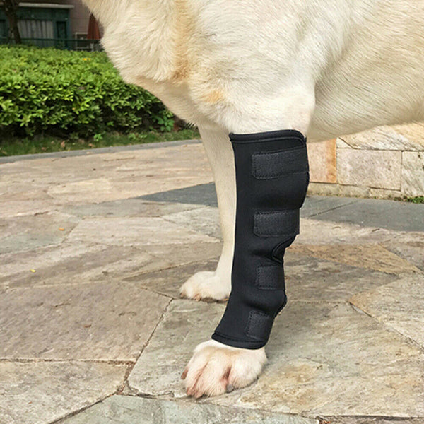 S/M/L/XL Pet Dog Knee Support Brace Hock Protector Rear Leg Compression Wrap