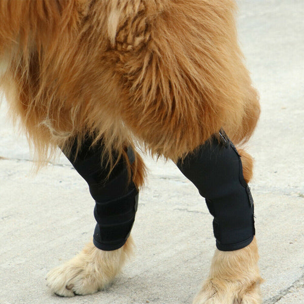 S/M/L/XL Pet Dog Knee Support Brace Hock Protector Rear Leg Compression Wrap