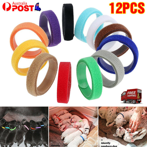 12x/24x Whelping ID Collar Bands Pet Puppy Dog Kitten Identification Collar Tags