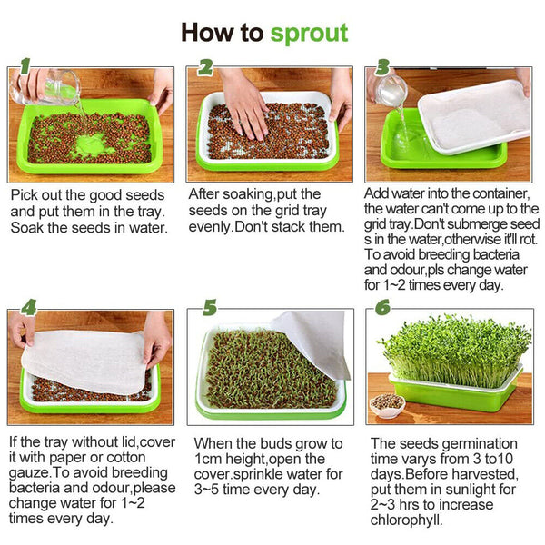 Sprout seedling tray tray bean sprouts planting tray hydroponic germination pot