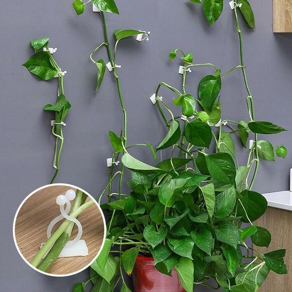 100Pcs Plant Climbing Wall Clips Self-Adhesive Invisible Plants Holder Hook Home