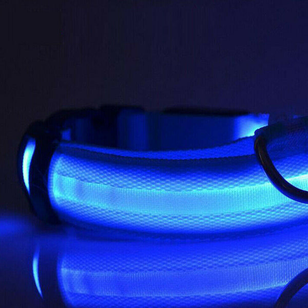 USB Rechargeable LED Dog Collar Nylon Glow Flashing Light Up Safety Pet Collars