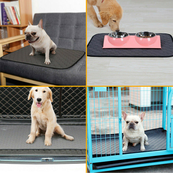 Washable Reusable Pet Dog Pee Pad Quick Dry Puppy Cat Training Wee Potty Mat