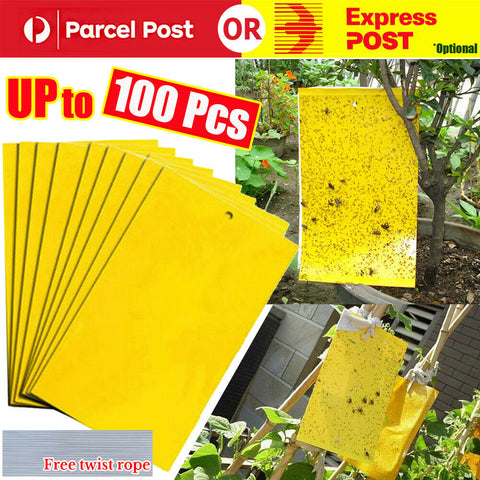 Up 100x Yellow Sticky Glue paper Insect Trap Catcher Killer Fly Aphids Wasp Lot