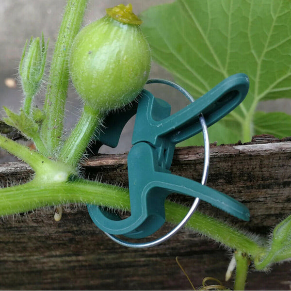 20x Garden Plant Clips Tomato Tie Stem Orchid Support Weatherproof Grow Training