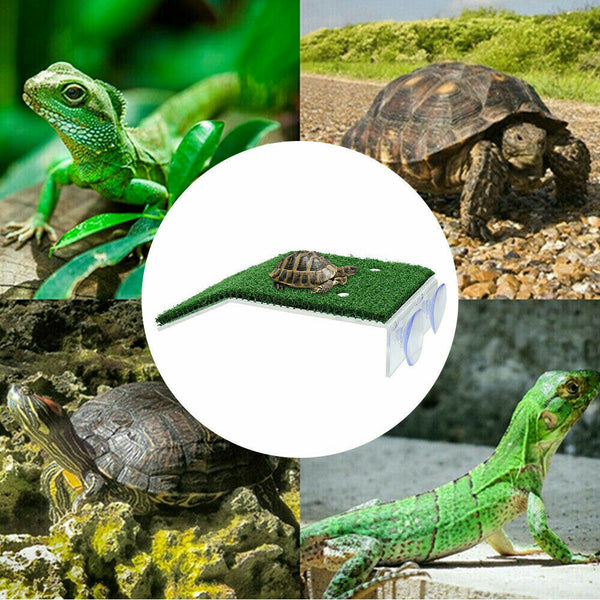 Turtle Basking Platform Ramp Reptile Tank Ladder Resting Terrace Simulation