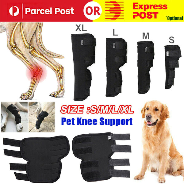 S/M/L/XL Pet Dog Knee Support Brace Hock Protector Rear Leg Compression Wrap