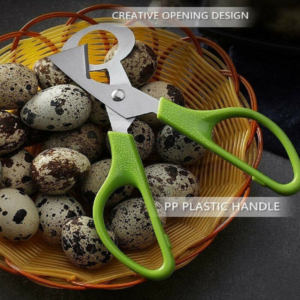 Stainless Steel Pigeon Quail Egg Scissor Birds Eggshell Cut Opener Creative AU