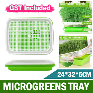 Sprout seedling tray tray bean sprouts planting tray hydroponic germination pot