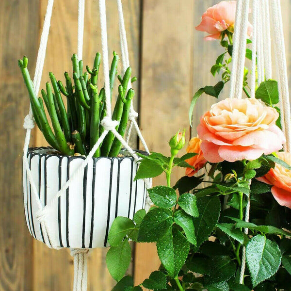 Macrame Plant Hanger Flower Pot Holder Hanging Planter Basket Rope Braided Decor