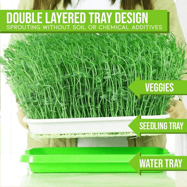 Sprout seedling tray tray bean sprouts planting tray hydroponic germination pot