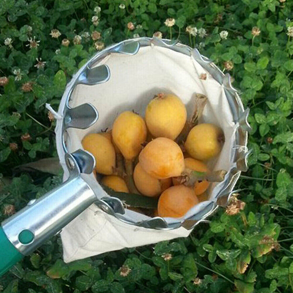 Fruit Pickers Picker Tool Picking Tool Fruit Harvest Picking Horticultural AU