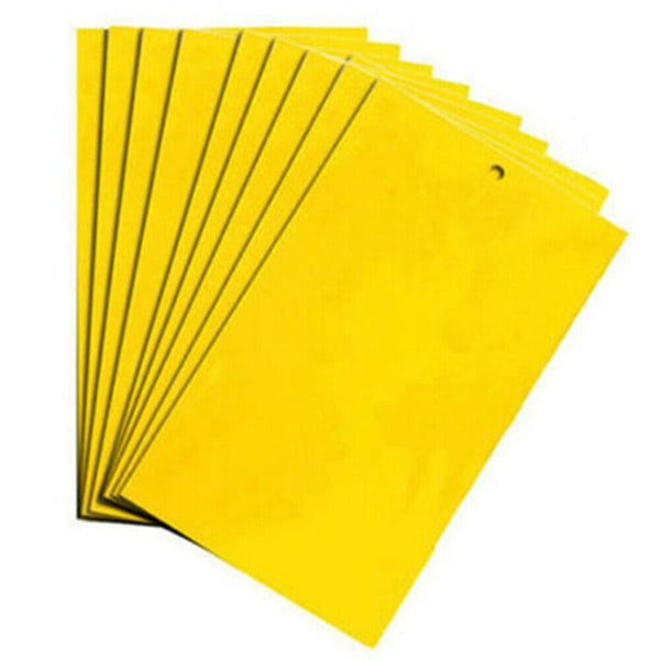 Up 100x Yellow Sticky Glue paper Insect Trap Catcher Killer Fly Aphids Wasp Lot