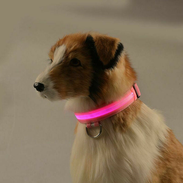 USB Rechargeable LED Dog Collar Nylon Glow Flashing Light Up Safety Pet Collars