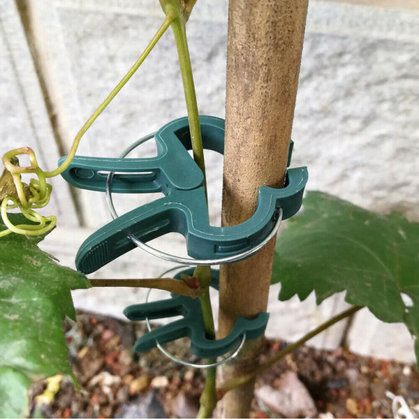 20x Garden Plant Clips Tomato Tie Stem Orchid Support Weatherproof Grow Training