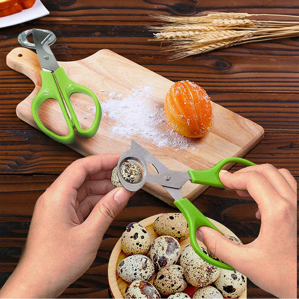 Stainless Steel Pigeon Quail Egg Scissor Birds Eggshell Cut Opener Creative AU