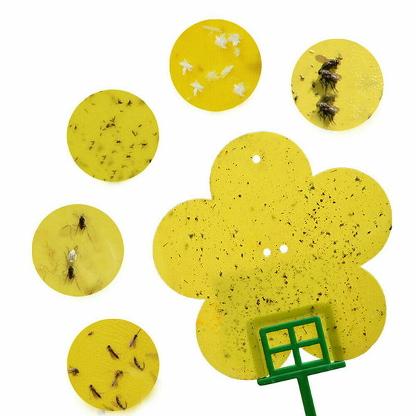 10/20/30/50PC Dual Sided Sticky Trap Insect Killer Whitefly Thrip Fruit Fly Gnat