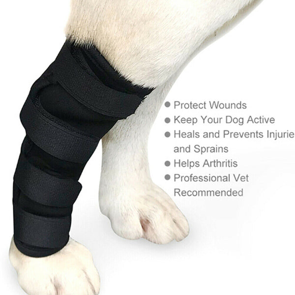 S/M/L/XL Pet Dog Knee Support Brace Hock Protector Rear Leg Compression Wrap