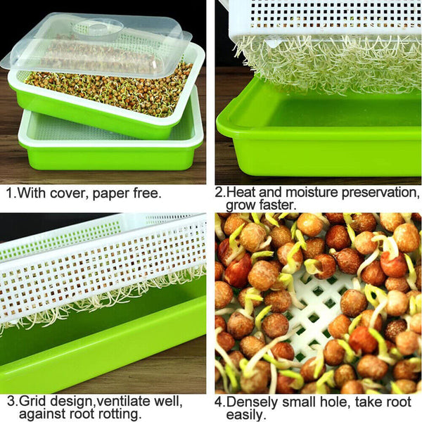 Sprout seedling tray tray bean sprouts planting tray hydroponic germination pot