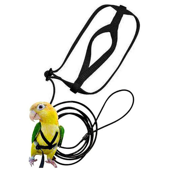 Pet Parrot Bird Harness Lead Leash Flying Training Rope Cockatiel Outdoor AU