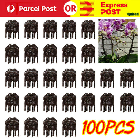 100Pcs Plastic Orchid Plant Garden Clips Vegetable Support Flower Holding Vine