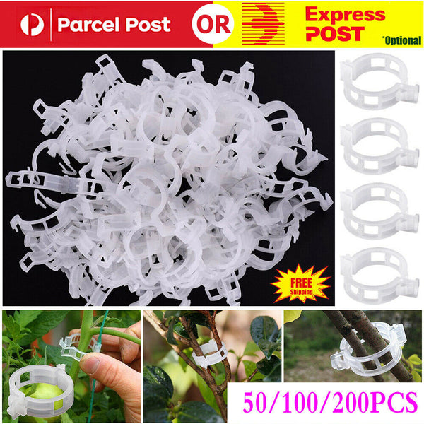 50/100/200Pcs Tomato Greenhouse Garden Plant Support Veggie Clips Trellis Twine