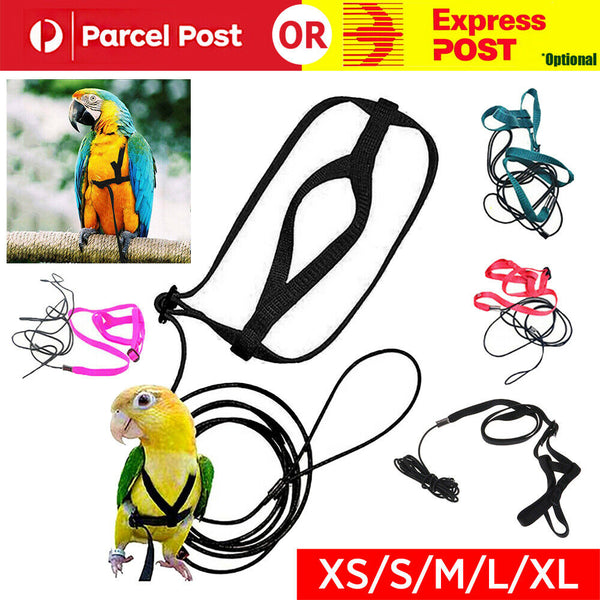 Pet Parrot Bird Harness Lead Leash Flying Training Rope Cockatiel Outdoor AU