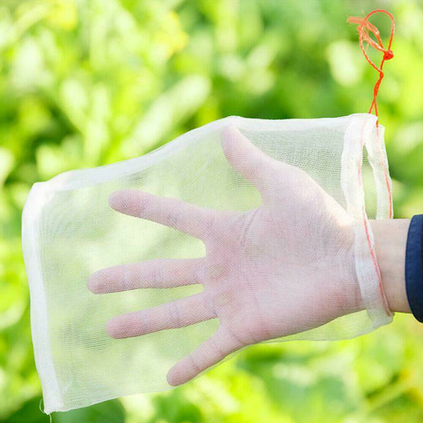 50PCS Fruit Net Bags Agriculture Garden Vegetable Protection Mesh Insect Proof