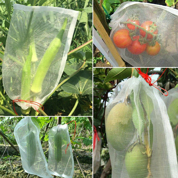 50PCS Fruit Net Bags Agriculture Garden Vegetable Protection Mesh Insect Proof