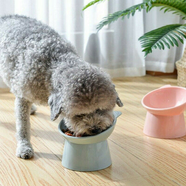 Elevated Cat Dog Pet Bowl Feeder Food Water Raised Lifted Stand Bowls AU Stock