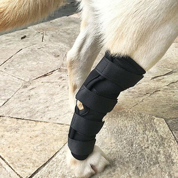 S/M/L/XL Pet Dog Knee Support Brace Hock Protector Rear Leg Compression Wrap